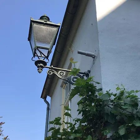 Unique Tranquil Spot With Garden, Centre Den Bosch