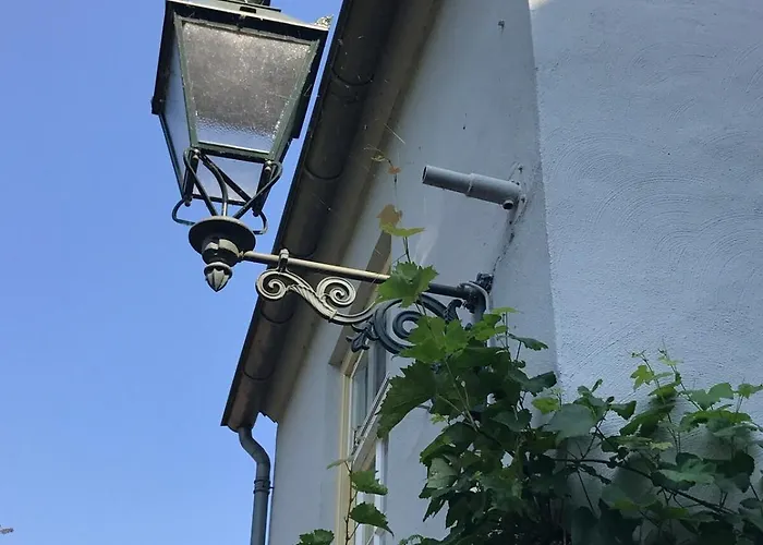 Unique Tranquil Spot With Garden, Centre Den Bosch